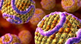 Картинка по теме - как определить уровень холестерина