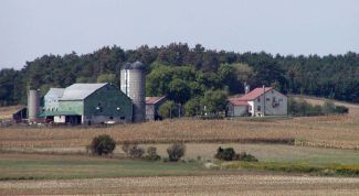 Картинка по теме - как завести свою ферму