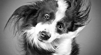 Картинка по теме - как поднять настроение окружающим