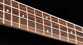 Картинка по теме - как держать бас