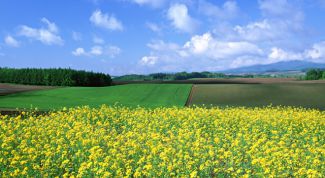 Картинка по теме - как отдохнуть в подмосковье