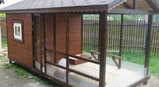 Картинка по теме - как сделать птичник