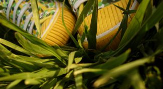 Картинка по теме - как зашнуровать обувь