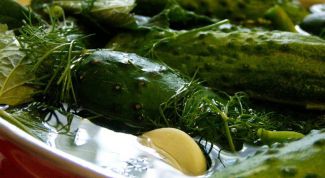 Картинка по теме - как делать малосольные огурцы