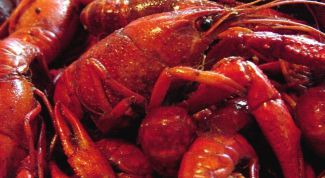 Картинка по теме - как выбрать раков