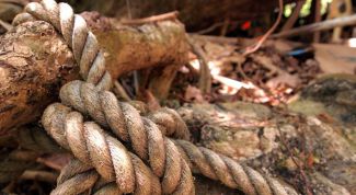 Картинка по теме - как вязать туристические узлы