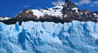 Картинка по теме - как выжить в арктике