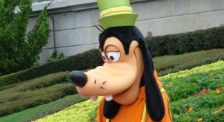 Картинка по теме - как снять кукольный мультфильм