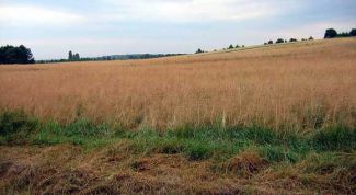 Картинка по теме - как переоформить земельный пай