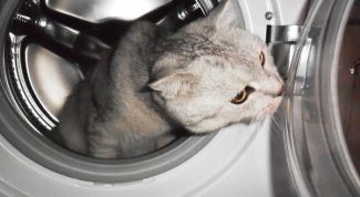 Картинка по теме - как разобрать стиральную машину