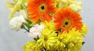 Картинка по теме - как упаковать цветы в горшках