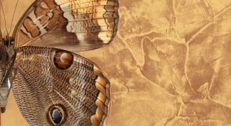 Картинка по теме - как делать венецианку