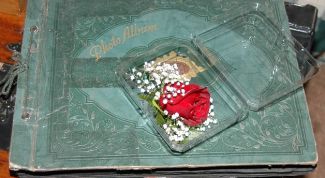 Картинка по теме - как оформить обложку альбома