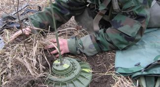 Картинка по теме - как попасть в армию женщине