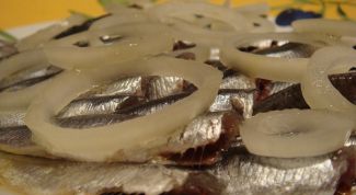 Картинка по теме - как засаливать хамсу