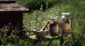 Картинка по теме - как заваривать грудной сбор