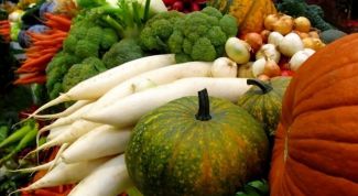 Картинка по теме - как хранить редьку