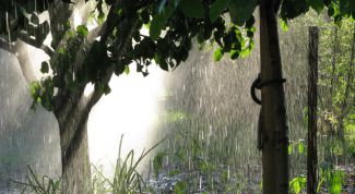 Картинка по теме - как нарисовать дождь в фотошопе