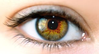 Картинка по теме - как научиться видеть мир