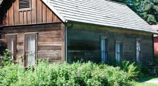 Картинка по теме - что делать в выходные