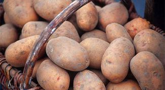 Картинка по теме - как подобрать ранние сорта картофеля