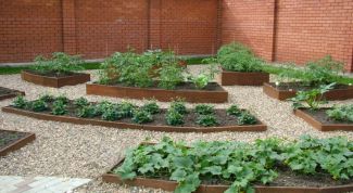 Картинка по теме - как переоформить дачный участок