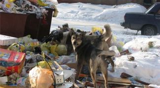 Картинка по теме - как заключить договор на вывоз твердых отходов 