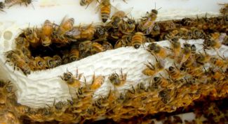 Картинка по теме - как изготовить улей