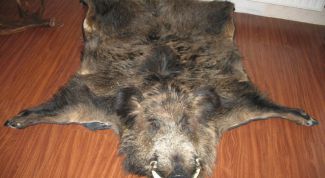 Картинка по теме - как выделывать мех