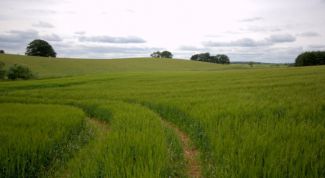 Картинка по теме - как переоформить право собственности на участок