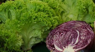 Картинка по теме - как приготовить краснокочанную капусту