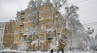 Картинка по теме - как встретить новый год в киеве