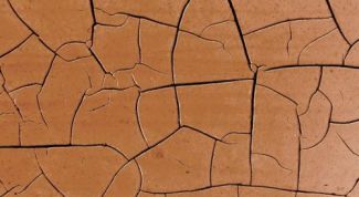 Картинка по теме - как сделать кракелюрный лак