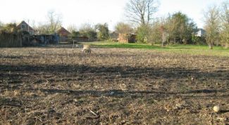 Картинка по теме - как дать объявление на продажу земельного участка