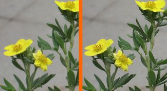 Картинка по теме - как увеличить резкость на изображении