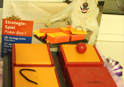 Классная игрушка, только дорогая