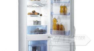 Отзыв о холодильнике Gorenje RK 41200 W