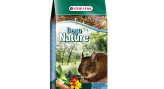 Хороший корм для дегу