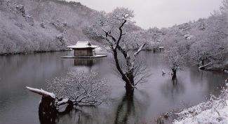 Весна, лето, осень, зима&hellip; и снова весна. Фильм режиссера Ким Ки Дука