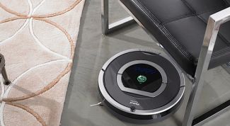 Мой любимый домашний помощник