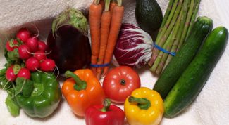 Плюсы и минусы сыроедения