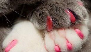 Отличное изобретение