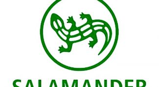 Salamander - моя самая любимая марка обуви