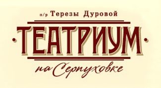 Замечательный молодежный театр