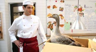 Лучший сериал за последние годы