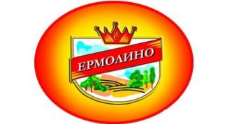 Магазин полуфабрикатов с большим выбором