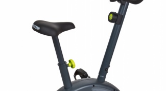 Выбор помощника в занятиях спортом