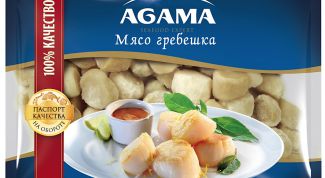 Мясо мурманского гребешка из Баренцева моря