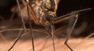 Дорогое и бесполезное средство