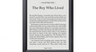 Электронная книжка - альтернатива или дополнение к бумажным